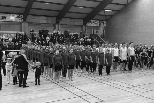 lindholm gymnastik lindholm gymnastik
